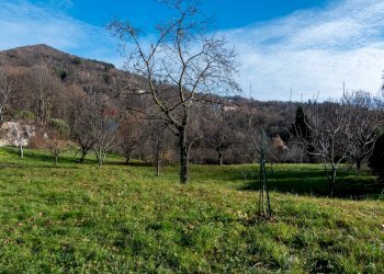 Vista delle montagne - Villa Lovario
 
40, Borgosesia - foto 10