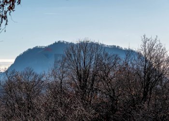 Vista delle montagne - Villa Lovario
 
40, Borgosesia - foto 17