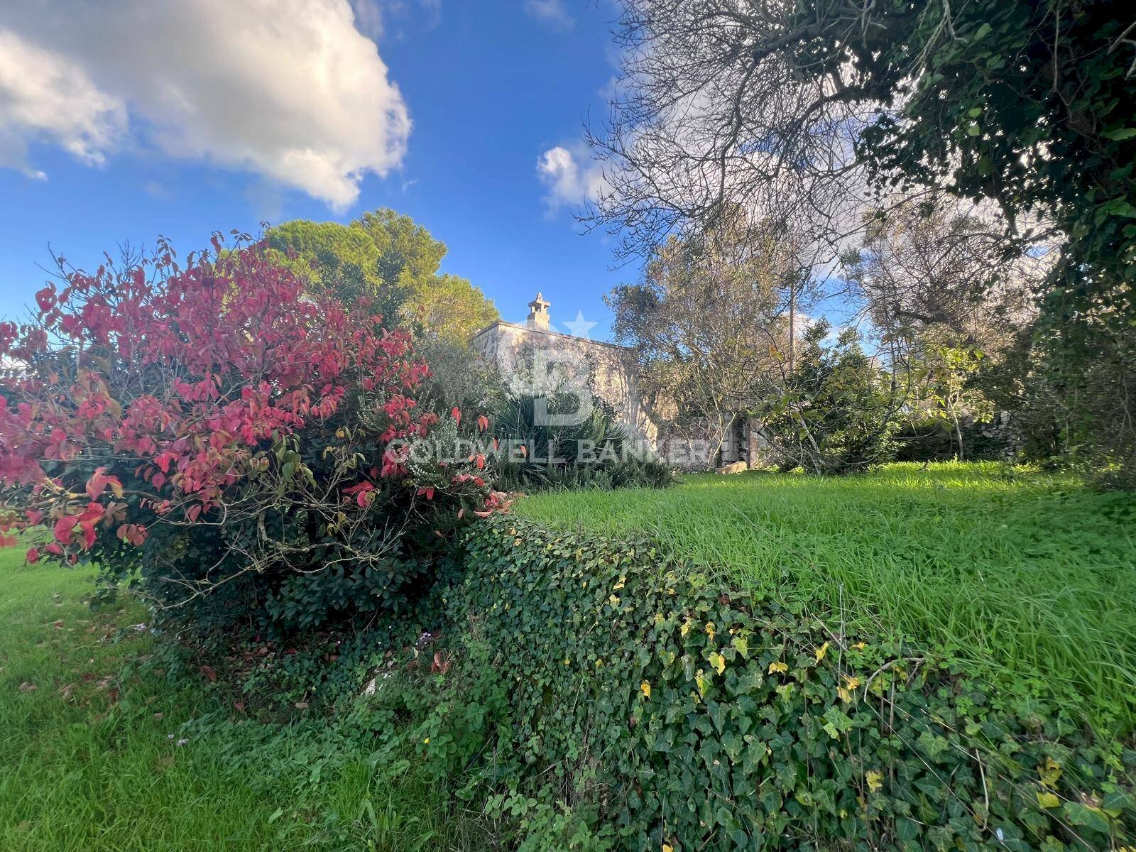 Foto 1 - Agricultural land Contrada Boccadoro, Ostuni - photo 1