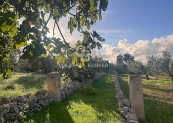 Foto 2 - Agricultural land Contrada Boccadoro, Ostuni - photo 2