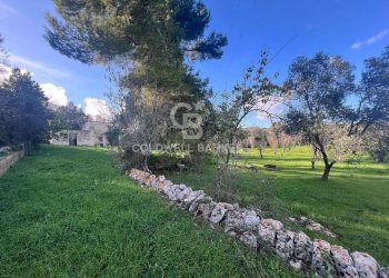 Foto 4 - Agricultural land Contrada Boccadoro, Ostuni - photo 4