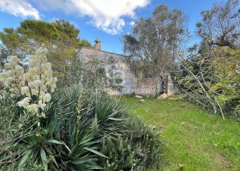 Foto 5 - Agricultural land Contrada Boccadoro, Ostuni - photo 5