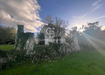 Foto 8 - Agricultural land Contrada Boccadoro, Ostuni - photo 8