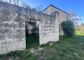 Foto 9 - Agricultural land Contrada Boccadoro, Ostuni - photo 9