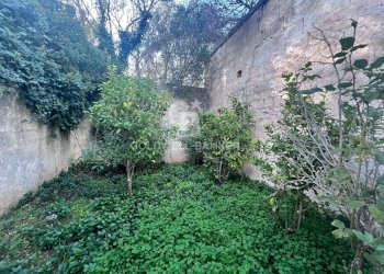 Foto 10 - Agricultural land Contrada Boccadoro, Ostuni - photo 10