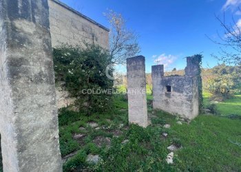 Foto 11 - Agricultural land Contrada Boccadoro, Ostuni - photo 11