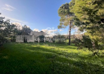 Foto 12 - Agricultural land Contrada Boccadoro, Ostuni - photo 12