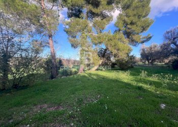 Foto 17 - Agricultural land Contrada Boccadoro, Ostuni - photo 17