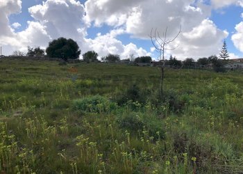 Giardino - Terreno edificabile Via circonvallazione
 
snc, Vittoria - foto 3
