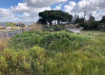 Giardino - Terreno edificabile Via circonvallazione
 
snc, Vittoria - foto 4