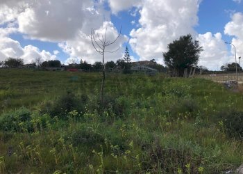 Giardino - Terreno edificabile Via circonvallazione
 
snc, Vittoria - foto 5