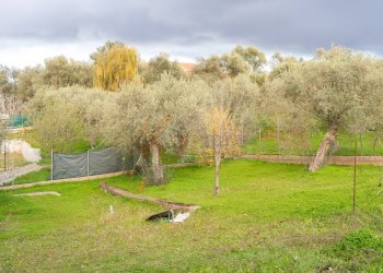 Foto 27 - Casa indipendente BADDE NIGOLA, Sennori - foto 27