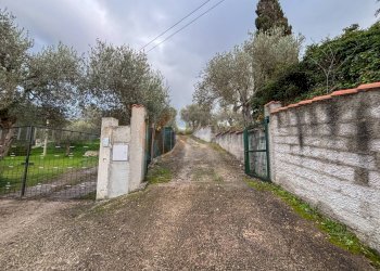 Foto 29 - Casa indipendente BADDE NIGOLA, Sennori - foto 29