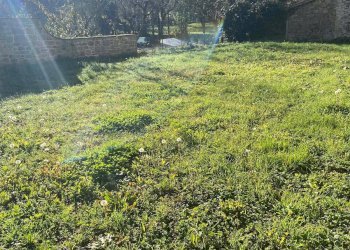 Foto 6 - Casa semi indipendente SAN MARTINO IN TREMOLETO
 
36, Poppi - foto 6