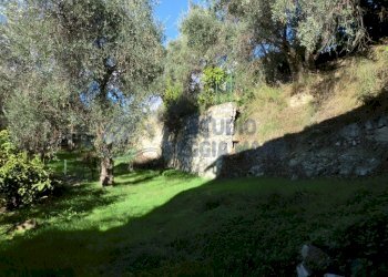 giardino (2).jpg - Villa Cadeberta, Castellaro - foto 4