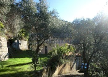 giardino (4).jpg - Villa Cadeberta, Castellaro - foto 7