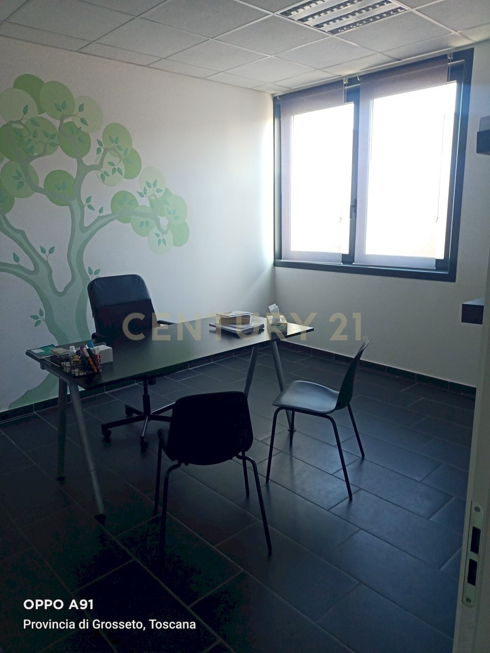 IMG20251118103053.jpg - Office Via Aurelia Nord 221, Grosseto - photo 1