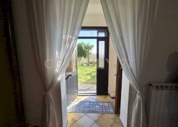 foto 20.jpeg - Casale località aratrice, Civitella Paganico - photo 19