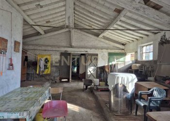 foto 23.jpeg - Casale località aratrice, Civitella Paganico - photo 21