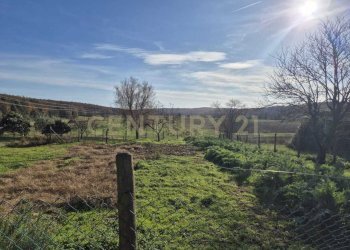 foto 27.jpeg - Casale località aratrice, Civitella Paganico - photo 25