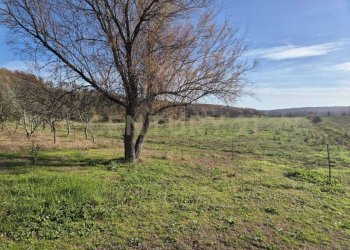 foto 28.jpeg - Casale località aratrice, Civitella Paganico - photo 26