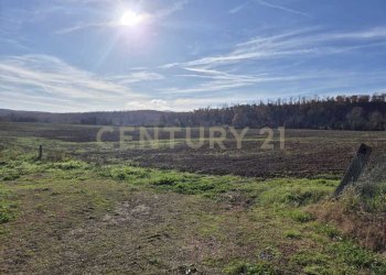 foto 29.jpeg - Casale località aratrice, Civitella Paganico - photo 27