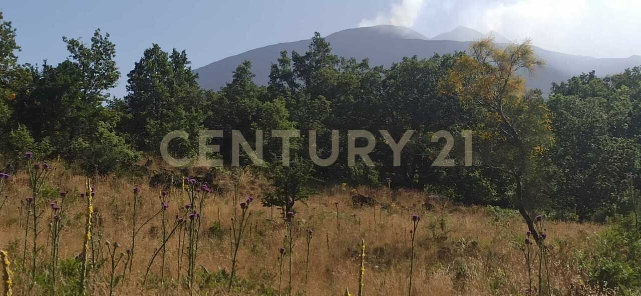 WhatsApp Image 2023-07-20 at 21.47.32 (1).jpeg - Terreno agricolo Via Nazario Sauro 51, Biancavilla - foto 1