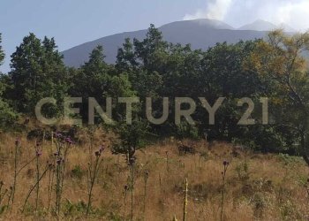 WhatsApp Image 2023-07-20 at 21.47.32 (1).jpeg - Terreno agricolo Via Nazario Sauro 51, Biancavilla - foto 1