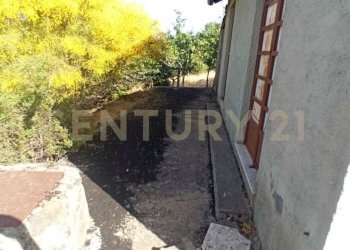 WhatsApp Image 2023-07-20 at 21.47.41 (1).jpeg - Terreno agricolo Via Nazario Sauro 51, Biancavilla - foto 3