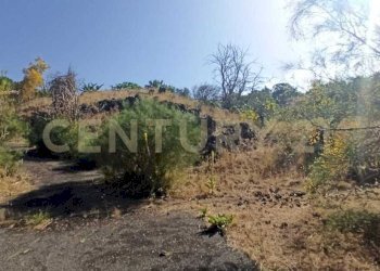 WhatsApp Image 2023-07-20 at 21.47.34 (2).jpeg - Terreno agricolo Via Nazario Sauro 51, Biancavilla - foto 9