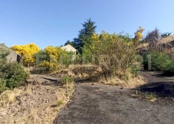 WhatsApp Image 2023-07-20 at 21.47.35.jpeg - Terreno agricolo Via Nazario Sauro 51, Biancavilla - foto 14