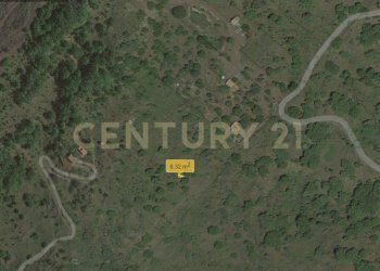 filiciusa1.jpg - Terreno agricolo Via Nazario Sauro 51, Biancavilla - foto 15