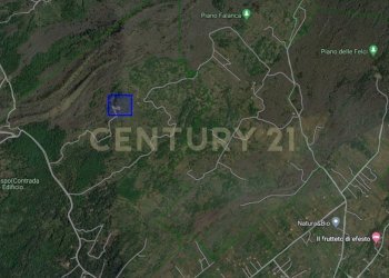 filiciusa.jpg - Terreno agricolo Via Nazario Sauro 51, Biancavilla - foto 16