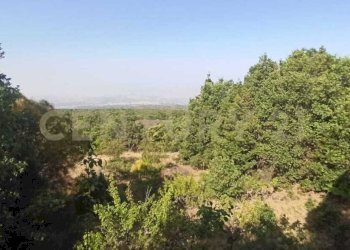 WhatsApp Image 2023-07-20 at 21.47.36 (2).jpeg - Terreno agricolo Via Nazario Sauro 51, Biancavilla - foto 19