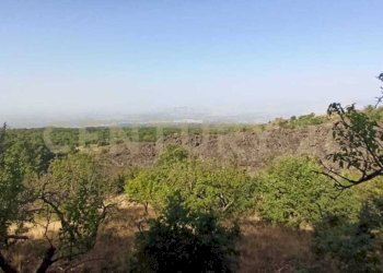 WhatsApp Image 2023-07-20 at 21.47.37 (1).jpeg - Terreno agricolo Via Nazario Sauro 51, Biancavilla - foto 21