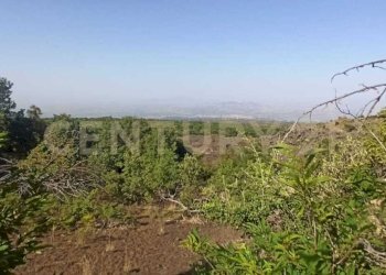 WhatsApp Image 2023-07-20 at 21.47.38.jpeg - Terreno agricolo Via Nazario Sauro 51, Biancavilla - foto 25