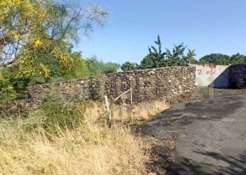 WhatsApp Image 2023-07-20 at 21.47.34.jpeg - Terreno agricolo Via Nazario Sauro 51, Biancavilla - foto 26