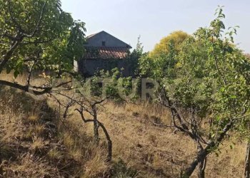 WhatsApp Image 2023-07-20 at 21.47.39 (1).jpeg - Terreno agricolo Via Nazario Sauro 51, Biancavilla - foto 27