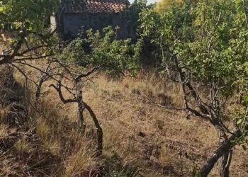 WhatsApp Image 2023-07-20 at 21.47.39 (2).jpeg - Terreno agricolo Via Nazario Sauro 51, Biancavilla - foto 29