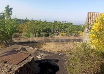 WhatsApp Image 2023-07-20 at 21.47.39 (3).jpeg - Terreno agricolo Via Nazario Sauro 51, Biancavilla - foto 30