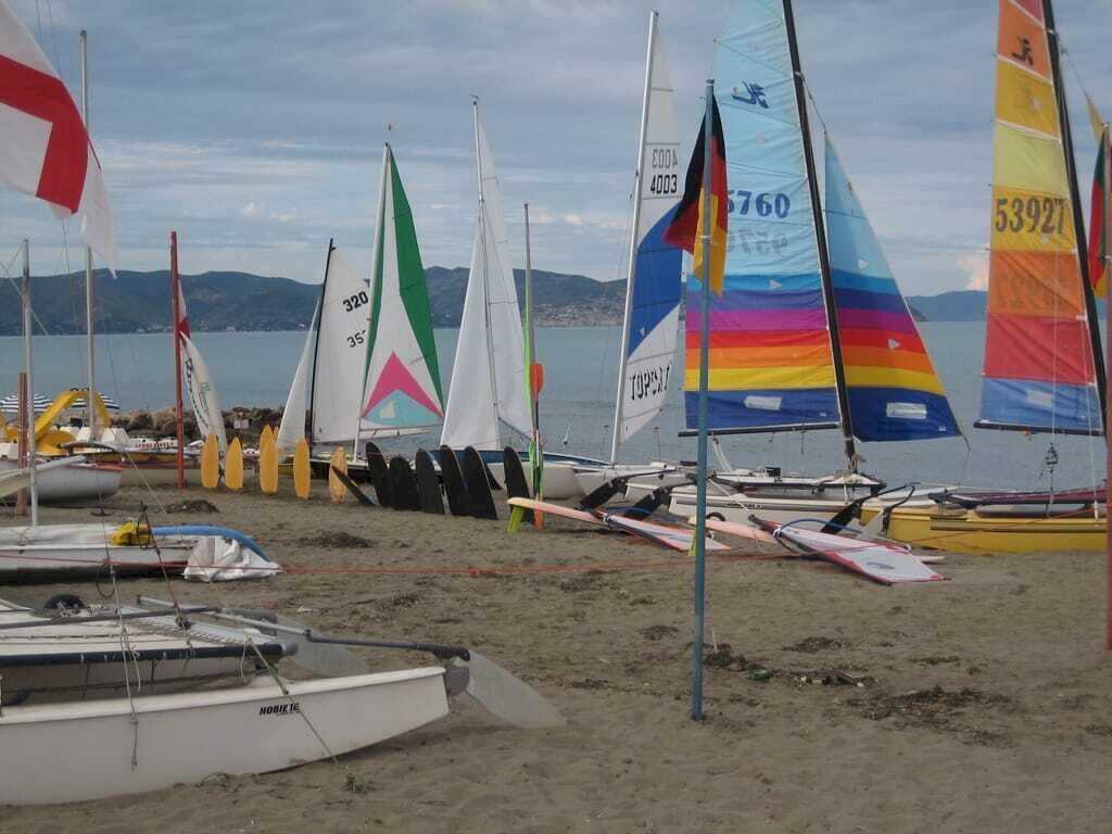 vela - Piante e Fiori Orbetello - foto 2