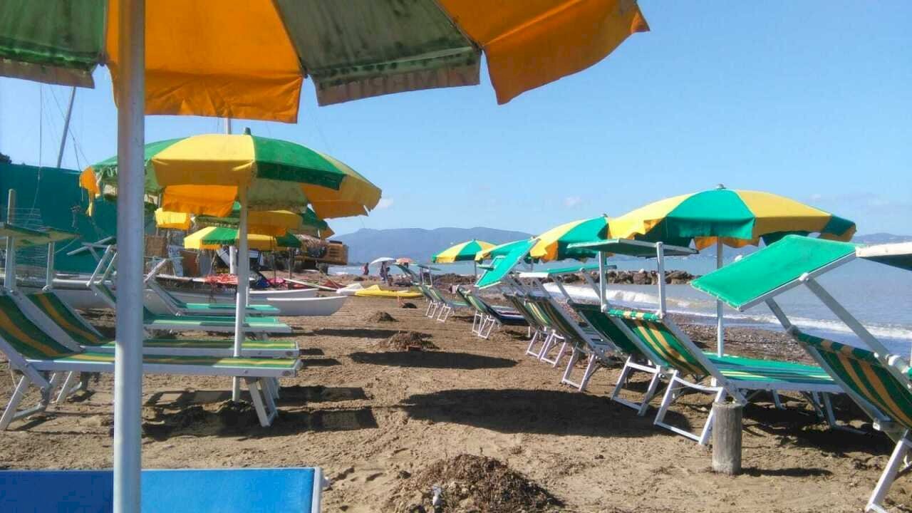 ombr - Piante e Fiori Orbetello - foto 1