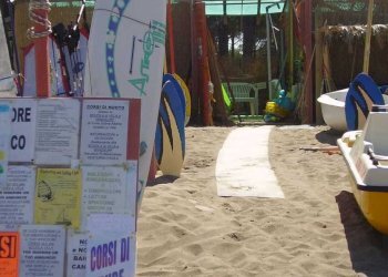 Scuola - Piante e Fiori Strada Provinciale della Giannella 212, Orbetello - foto 3