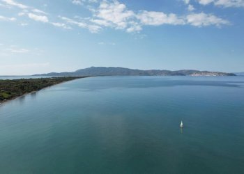 vista aerea - Piante e Fiori Strada Provinciale della Giannella 212, Orbetello - foto 4