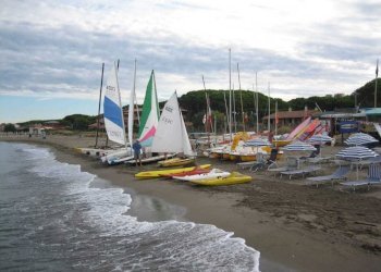 attivita - Piante e Fiori Strada Provinciale della Giannella 212, Orbetello - foto 5