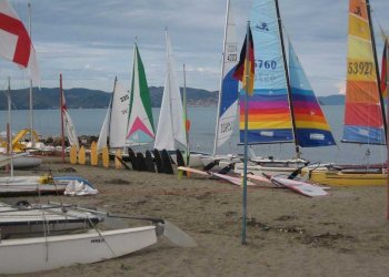 vela - Piante e Fiori Strada Provinciale della Giannella 212, Orbetello - foto 2