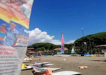 scuola 2 - Piante e Fiori Strada Provinciale della Giannella 212, Orbetello - foto 9