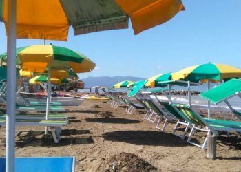 ombr - Piante e Fiori Strada Provinciale della Giannella 212, Orbetello - foto 1