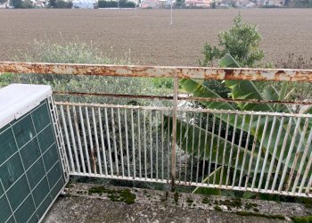 Semi-detached house Via godo vecchia, Russi - photo 15