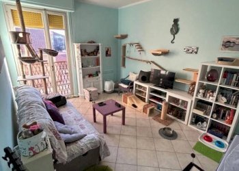 Camera da letto - Trilocale via Agordat, 18, Vercelli - foto 3